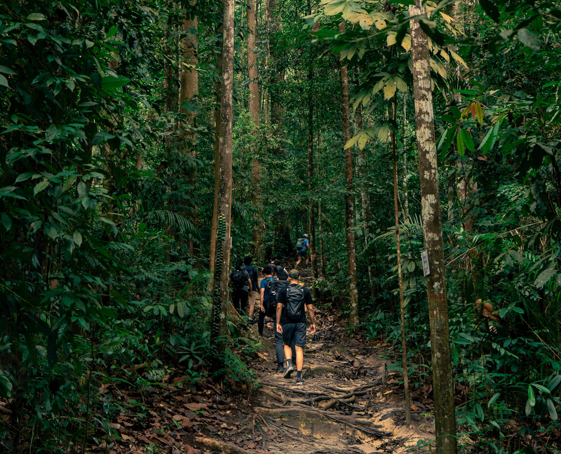 Hike Gunung Angsi & Feast at Malacca's Jonker Street - All in 1 Day!